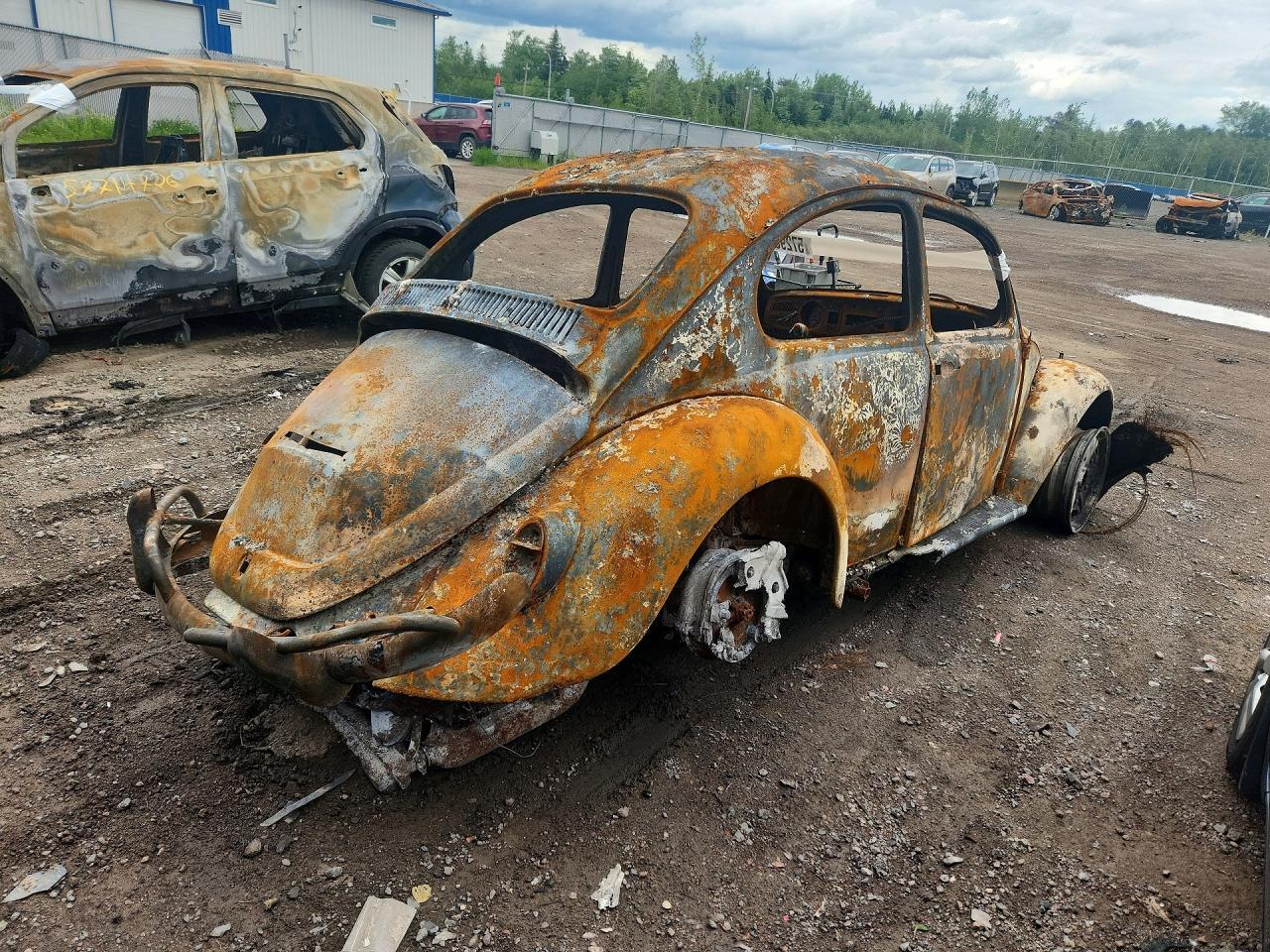 1967 VOLKSWAGEN Beetle