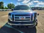 2010 FORD F-150 Lightning