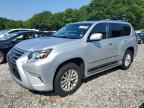 2016 LEXUS GX 460