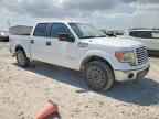 2012 FORD F-150 Lightning