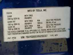 2024 TESLA MODEL Y