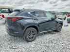 2024 LEXUS NX 350
