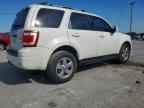 2010 FORD ESCAPE
