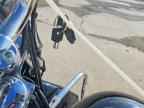 2013 HARLEY-DAVIDSON FLSTC