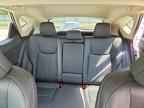 2025 LEXUS NX 350