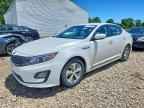 2015 KIA Optima Hybrid
