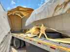 2013 Gdan Trailer