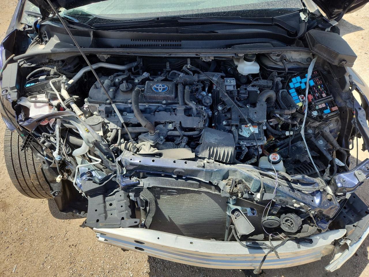 2023 TOYOTA COROLLA