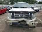 2010 FORD F-150 Lightning