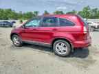 2010 HONDA CR-V