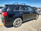 2014 KIA SORENTO