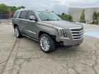 2019 CADILLAC ESCALADE