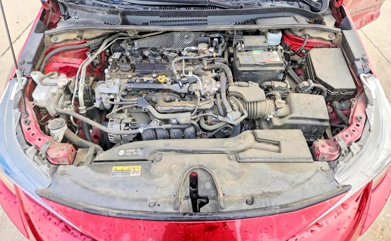 2023 TOYOTA COROLLA