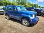 2009 JEEP Liberty