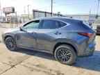 2024 LEXUS NX 250