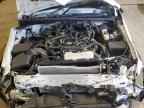 2025 TOYOTA 4Runner