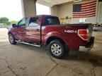 2009 FORD F-150 Lightning