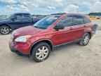 2007 HONDA CR-V