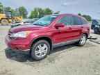 2010 HONDA CR-V