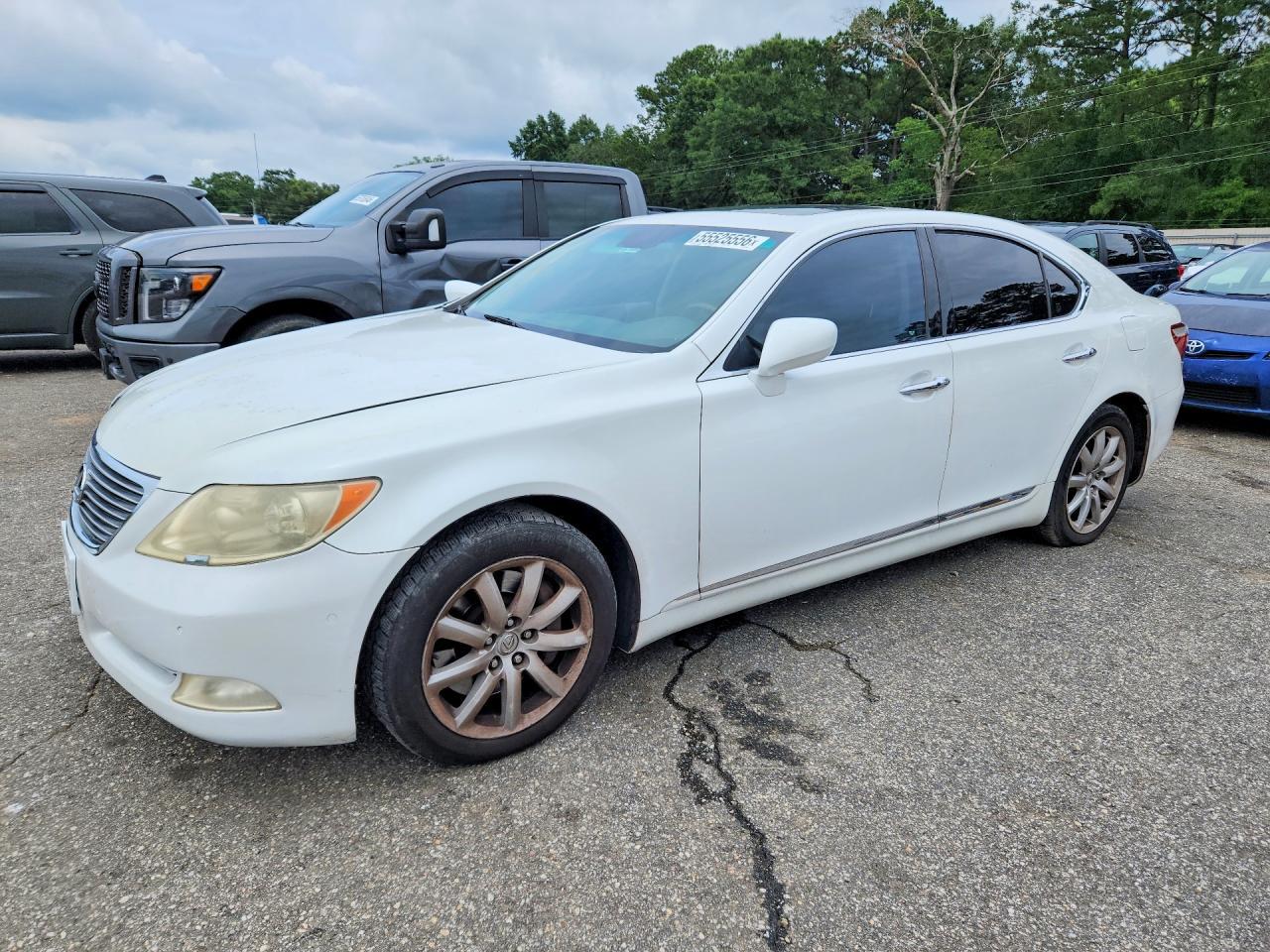 2009 LEXUS LS 460