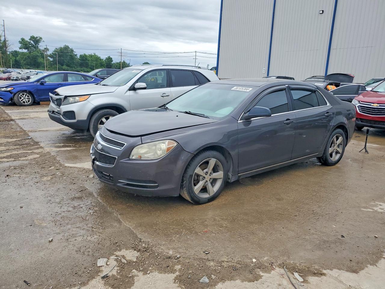 2011 CHEVROLET MALIBU
