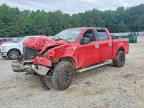 2004 FORD F-150 Lightning