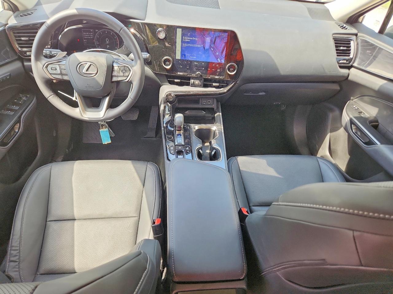 2025 LEXUS NX 350