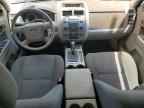 2009 FORD Escape Hybrid