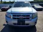 2009 FORD Escape Hybrid