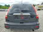 2009 HONDA CR-V