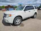 2010 FORD ESCAPE