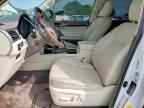 2019 LEXUS GX 460