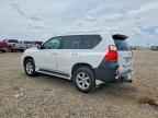 2010 LEXUS GX 460