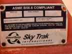 2008 Sky Trak 6042