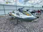 2019 Sea Doo Fish Pro