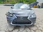 2025 LEXUS ES 350