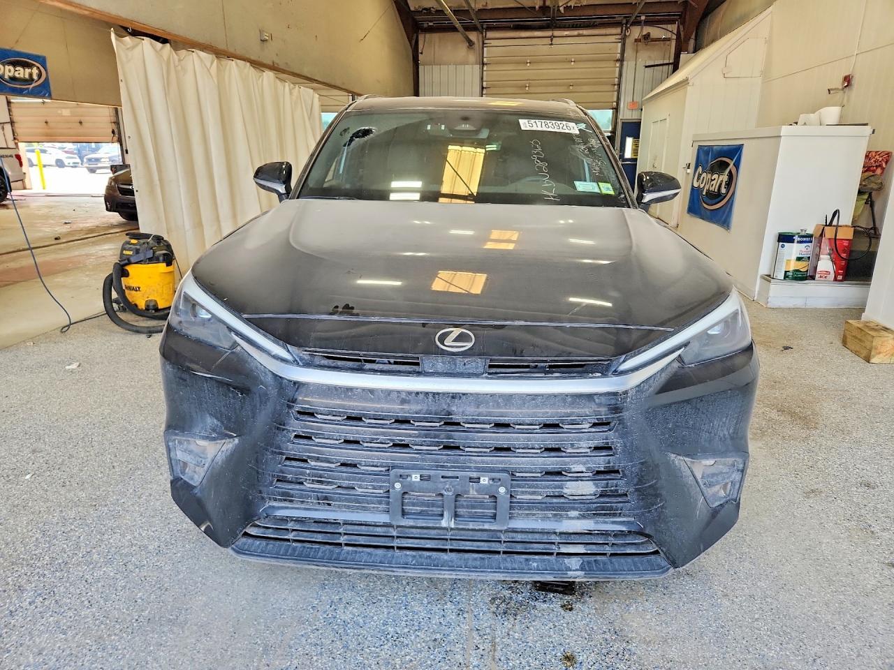 2024 LEXUS TX 350