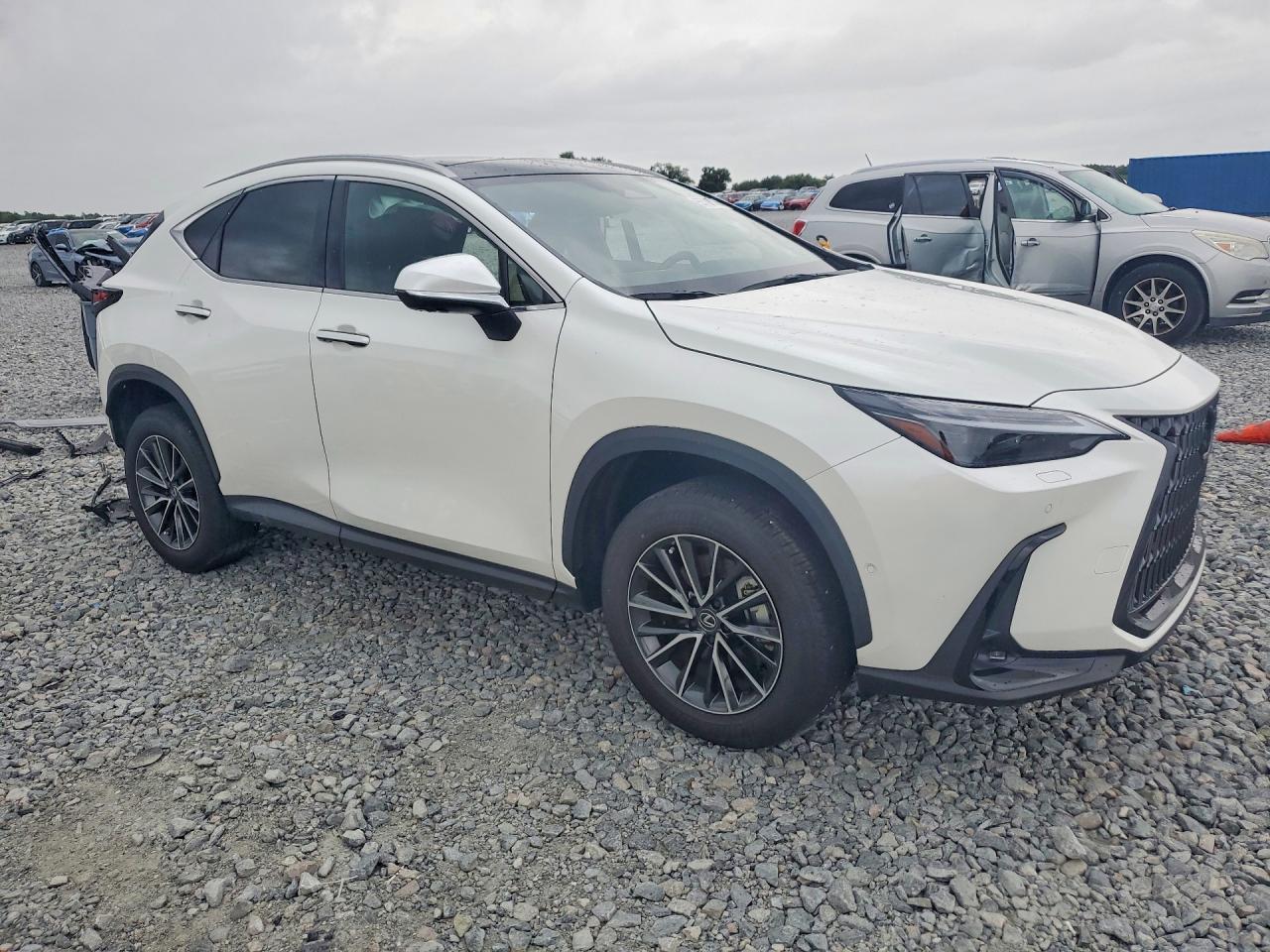 2024 LEXUS NX 350H