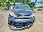 2010 HONDA CR-V