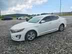 2015 KIA Optima Hybrid