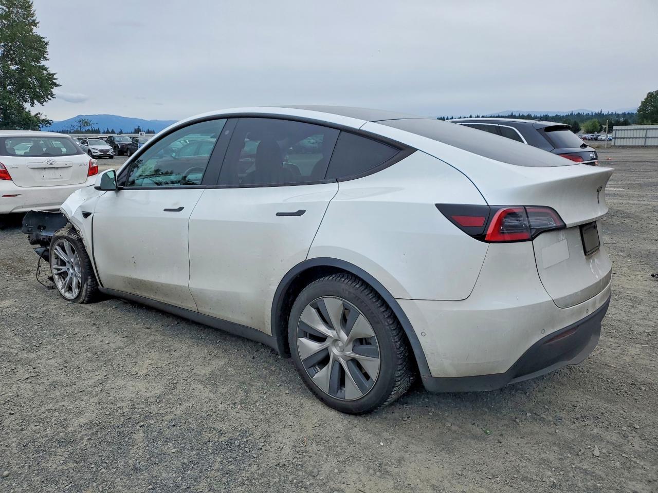 2020 TESLA MODEL Y