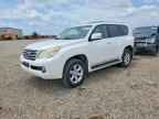 2010 LEXUS GX 460