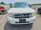 2008 FORD Escape Hybrid