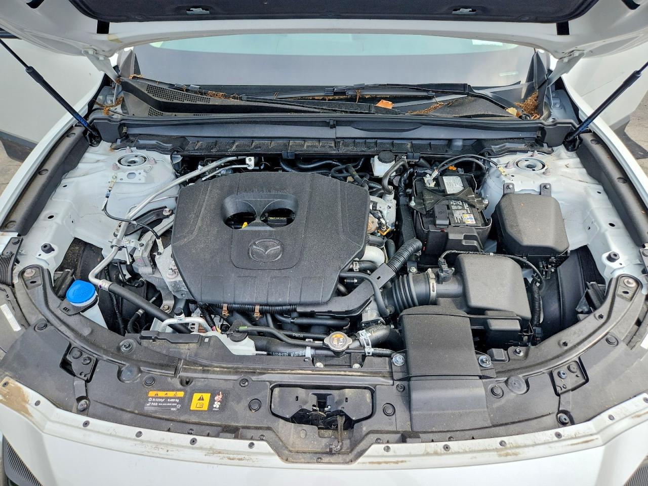 2025 MAZDA CX-50