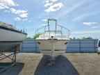 1989 Thundercraft Boat