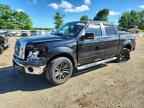 2010 FORD F-150 Lightning