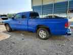 1999 DODGE Dakota