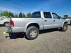 2003 DODGE Dakota
