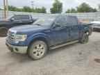 2013 FORD F-150 Lightning