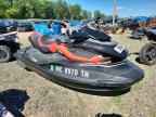 2011 Sea Doo Rxt